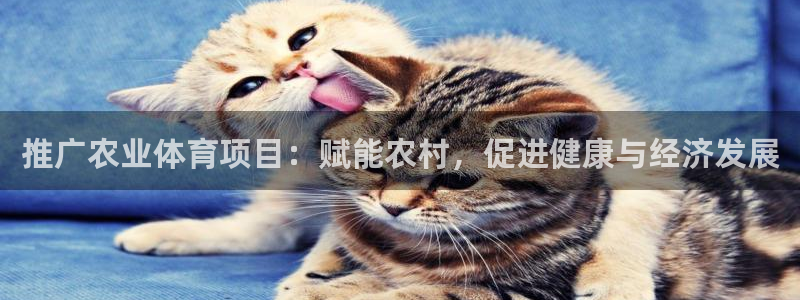 星娱乐文化传媒