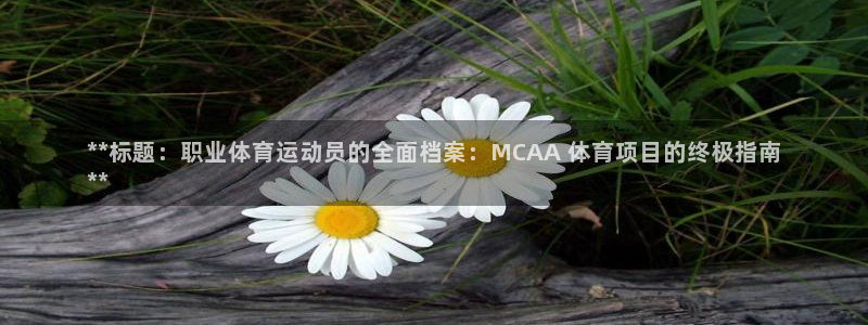 星游娱乐1官网下载