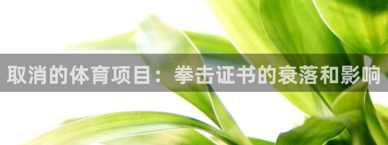 星欧娱乐属于什么档次的软件