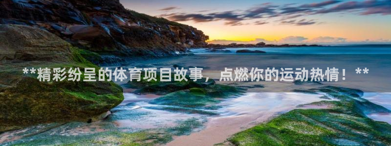 星奥娱乐集团股份有限公司招聘