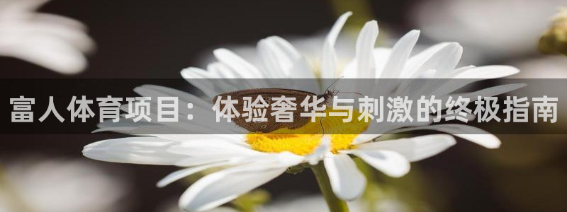 星奥娱乐集团股份有限公司官网