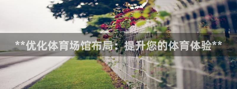 星游娱乐1官网下载