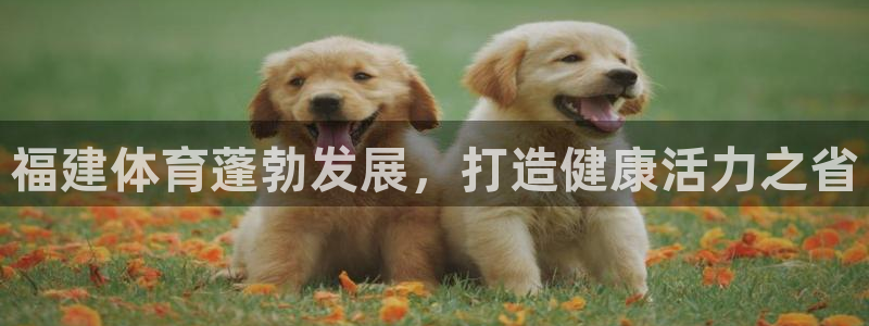 星欧娱乐扣款时间查询方法是什么样的