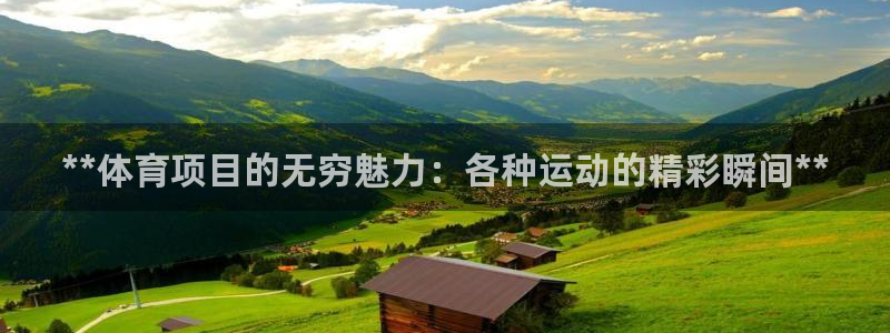 星欧娱乐的创始人背景故事是什么