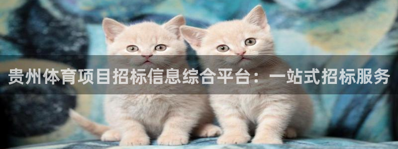 星欧娱乐平台怎么样知乎推荐
