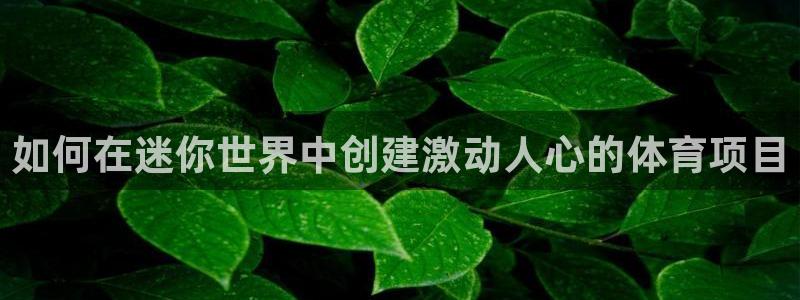 星欧娱乐扣款时间查询方法怎么查