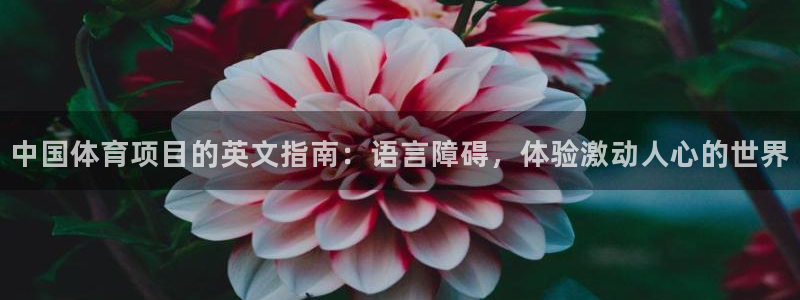 星欧娱乐信存手机版下载