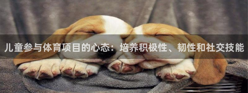 星欧娱乐雀V是什么平台