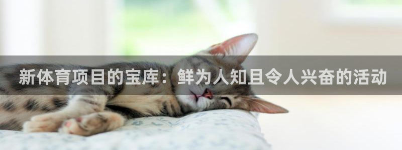 星欧娱乐平台