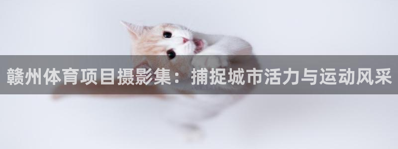 星欧娱乐工711.112怎么没有了