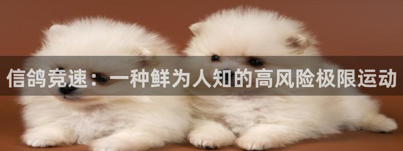 星欧娱乐扣款6II2是什么情况