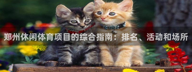 星欧娱乐巴711.112扣费记录查询方法