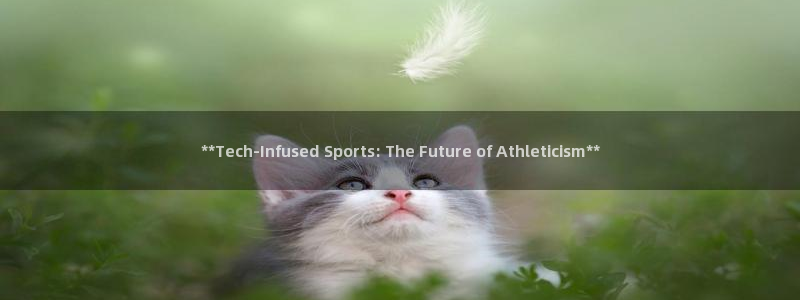 星欧娱乐的创始人背景故事介绍