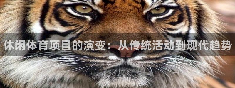 星娱乐包月业务是什么