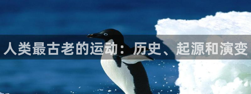 星欧娱乐挂机赚钱