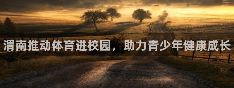 星欧娱乐属于什么档次的公司啊