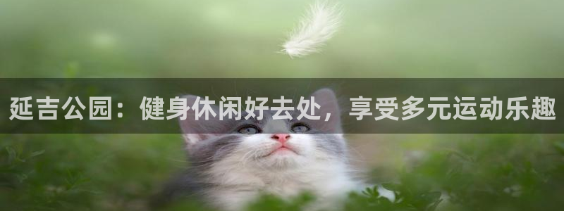 星欧娱乐是正规平台吗安全吗