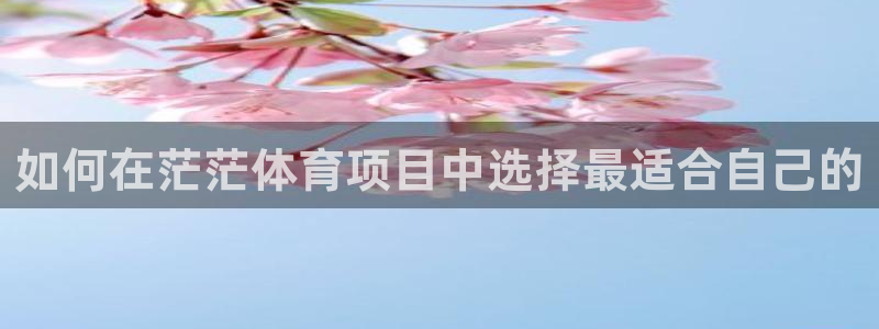 星欧娱乐的官方版本更新内容是什么