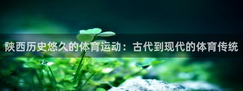 星欧娱乐平台怎么样可靠吗安全吗