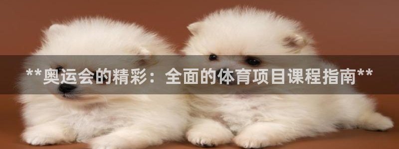 星欧娱乐扣款流程详解图片