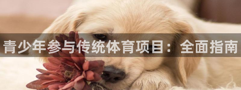 星欧娱乐扣款流程详解图高清