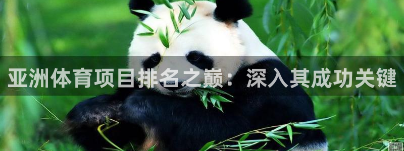 星欧娱乐的创始人背景故事介绍