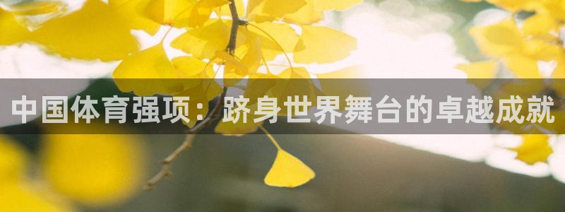 星欧娱乐平台地7O777