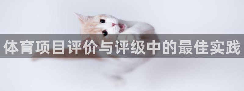 星欧娱乐公司创始人背景故事
