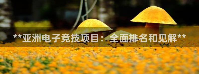 星欧娱乐是正规平台吗安全吗知乎
