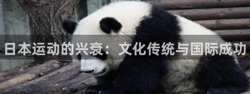 星欧娱乐最建议买的三个产品是什么