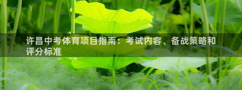 星欧娱乐挂机赚钱是真的吗