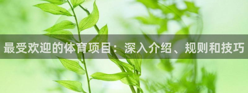 星欧娱乐下载最新版本更新内容