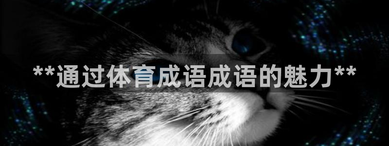 星奥盛典娱乐会所