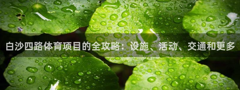 星澳娱乐公司地址