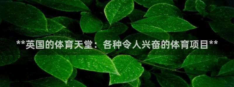 星游娱乐1官网下载