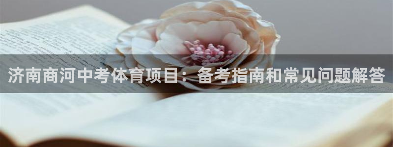 星娱乐是谁的公司