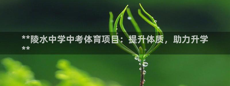 星欧娱乐app最新版本更新内容