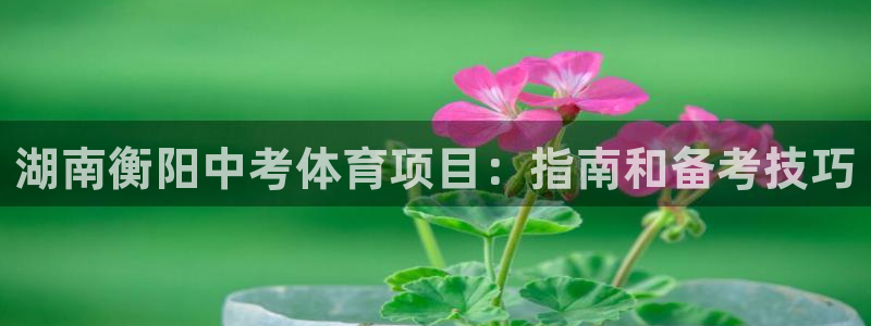 星欧娱乐的官方版本更新内容有哪些
