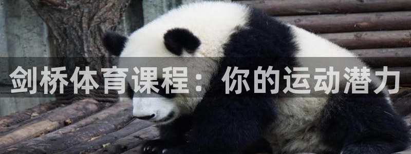 星欧娱乐平台方7O777