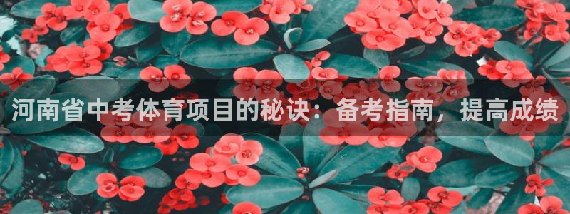 星游娱乐1官网下载