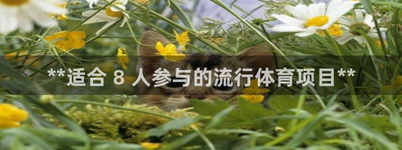 星欧娱乐扣款流程详解图片大全