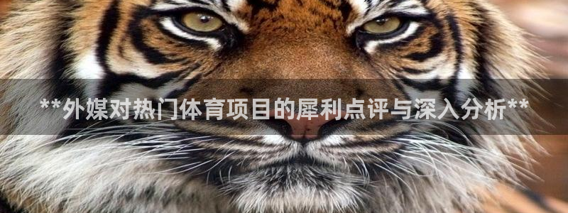 星澳娱乐公司