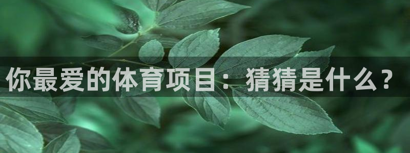 星欧娱乐属于什么档次的网站