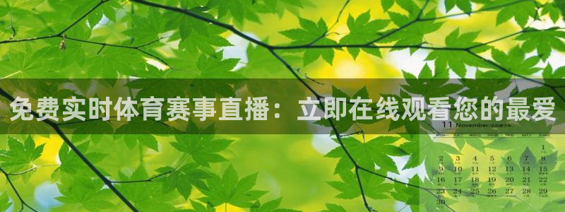 星乐娱乐