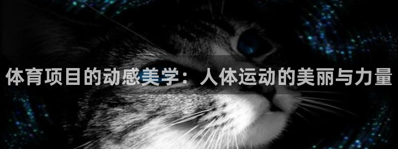 星欧娱乐最建议买的三个产品是