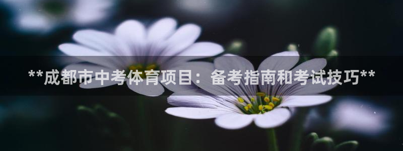星欧娱乐扣款流程详解视频播放