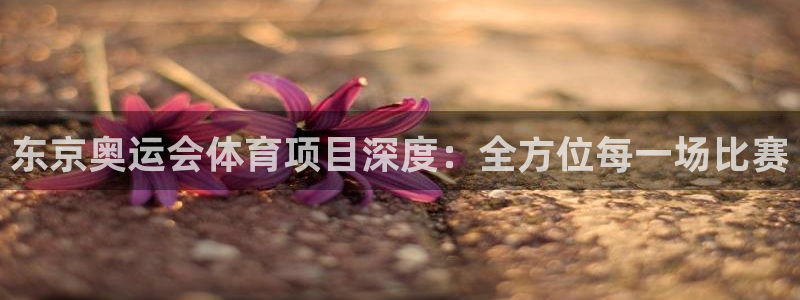 星奥娱乐集团股份有限公司招聘