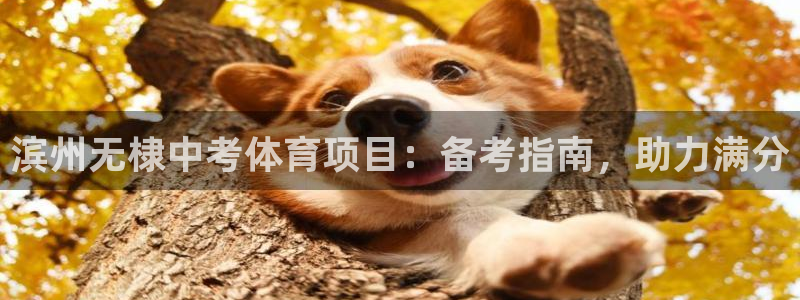星欧娱乐挂机教程下载