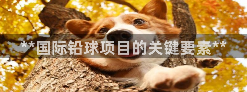 星欧娱乐官方客服联系方式电话