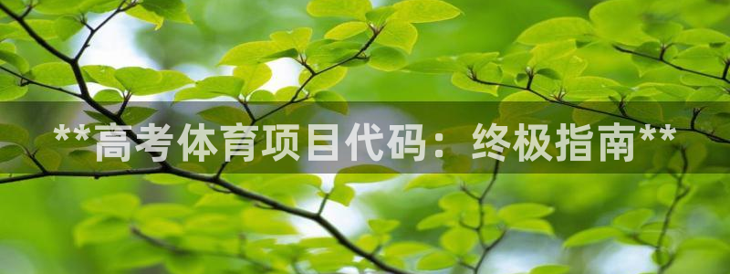 星奥娱乐集团股份有限公司招聘